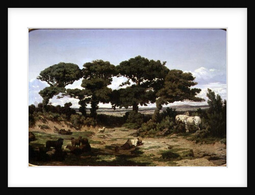 The Oaks of Kertregonnec, c.1869-70 by Alexandre Sege