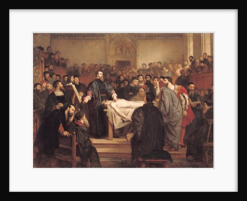 Andreas Vesalius at Padua, 18th century by Edouard Jean Conrad Hamman