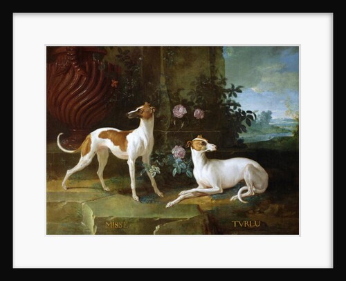 Misse and Turlu, two greyhounds of Louis XV by Jean-Baptiste Oudry