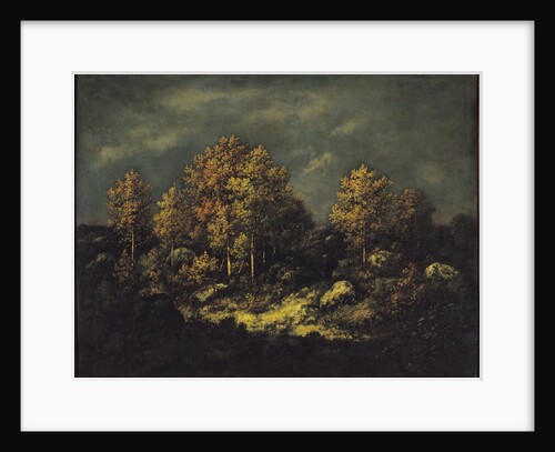 The Jean de Paris Heights in the Forest of Fontainebleau, 1867 by Narcisse Virgile Diaz de la Pena