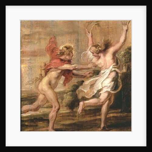 Apollo and Daphne, c.1636 by Peter Paul Rubens