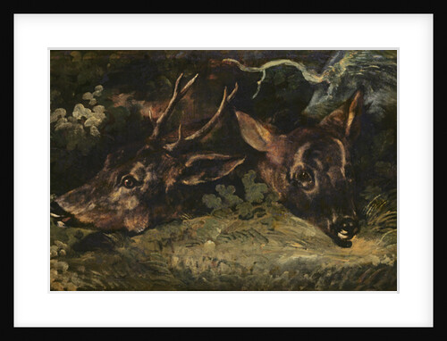 Heads of Roe Deer, 1815 by Theodore Gericault