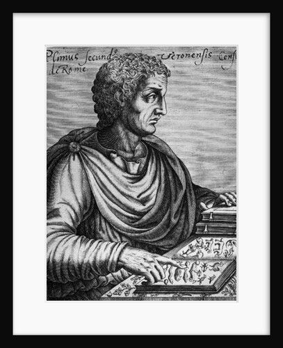 Pliny the Elder by French School