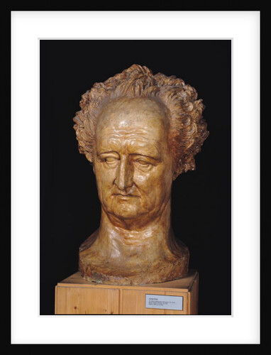 Bust of Johann Wolfgang von Goethe, 1831 by Pierre Jean David d'Angers