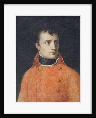 Napoléon Bonaparte, First Consul by Anne Louis Girodet de Roucy-Trioson