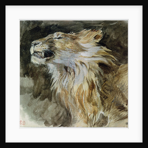 The Head of a Lion by Ferdinand Victor Eugene Delacroix