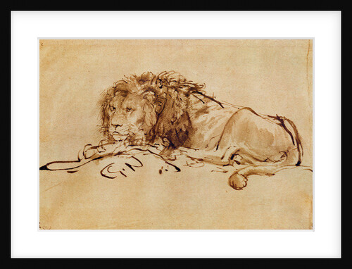 Lion Resting by Rembrandt Harmensz. van Rijn