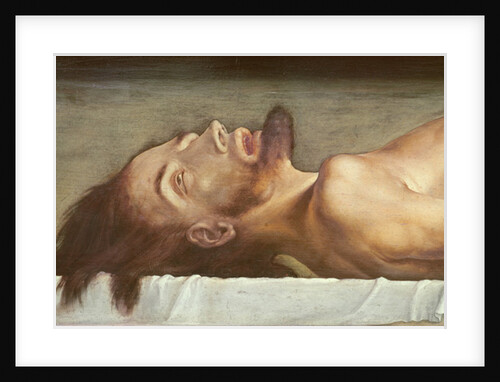 The Body of the Dead Christ, detail of the head, 1521 by Hans Holbein the Younger