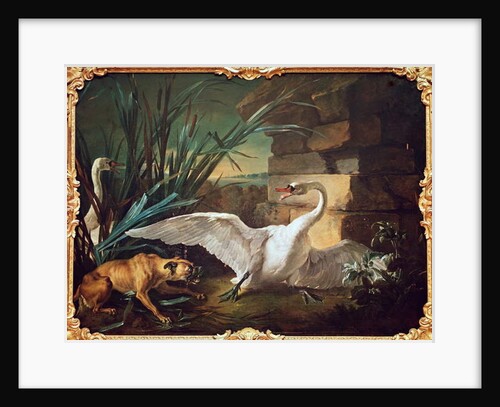 Dog and Swans by Jean-Baptiste Oudry