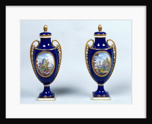 A Pair of Sèvres Vases with decorative floral medallions by French School