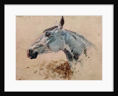 White Horse 'Gazelle', 1881 by Henri de Toulouse-Lautrec