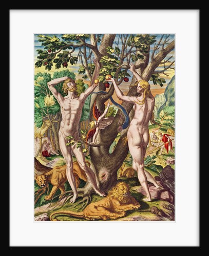 Admiranta Narratio.... Adam and Eve, 1585-1588 by Theodor de Bry