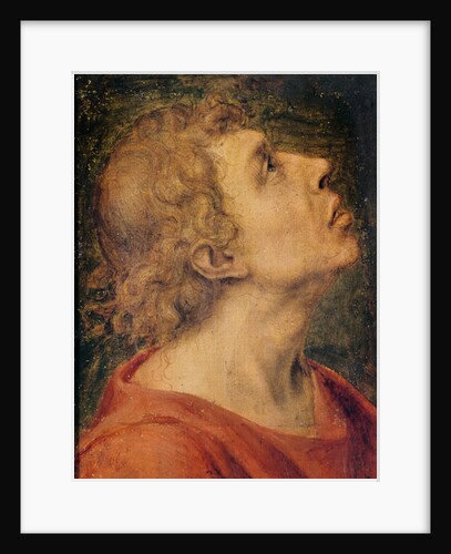 Saint John the Evangelist by Sebastiano del Piombo
