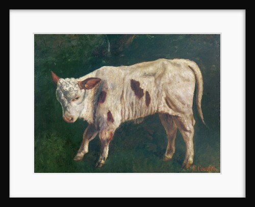 A Calf by Gustave Courbet
