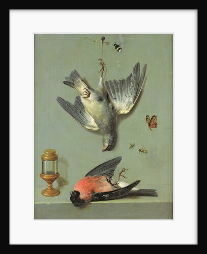 Still Life With Birds and Insects, 1713 by Jean-Baptiste Oudry