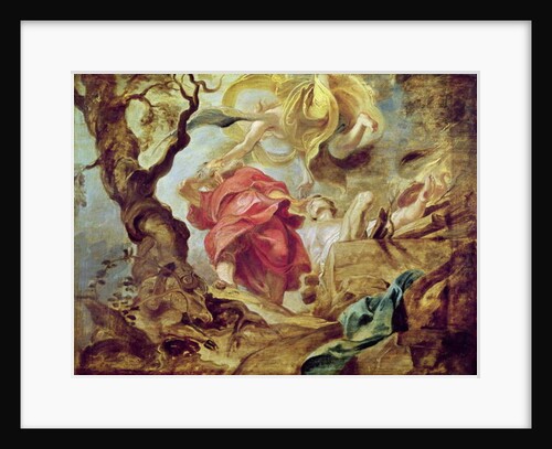The Sacrifice of Isaac by Peter Paul Rubens