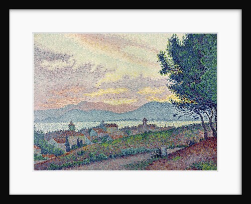 St. Tropez, Pinewood, 1896 by Paul Signac