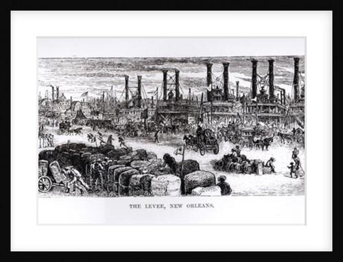 The Levee, New Orleans by American School