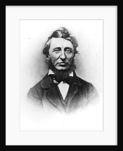 Henry Thoreau by American Photographer