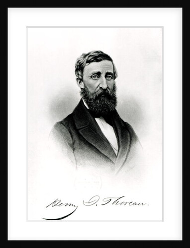 Henry David Thoreau by English School
