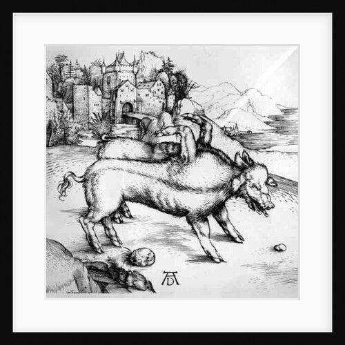 Monstrous Pig by Albrecht Dürer or Duerer
