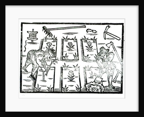 Illustration from a Book on Gardening by English School