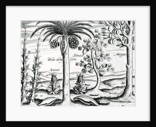 Landscape by Theodor de Bry