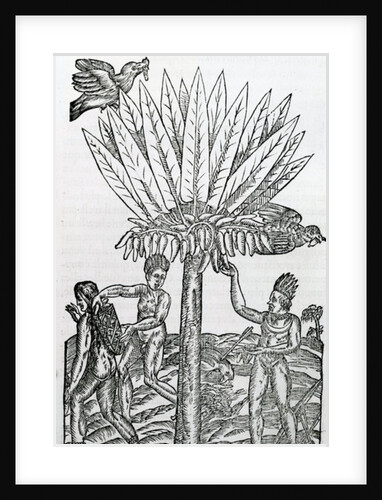 Harvest by French School