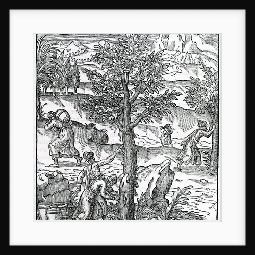 Collecting incense from Pine trees by French School