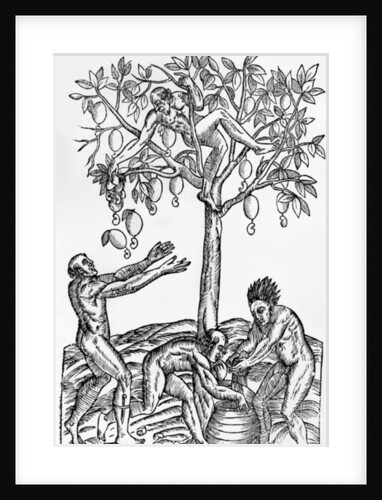 Collecting nuts for wine making by French School