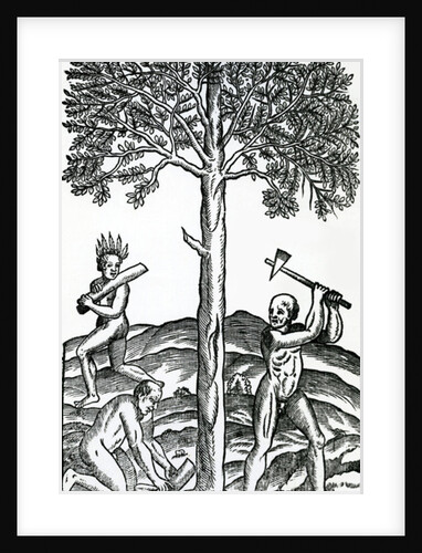 Tree cutting by French School