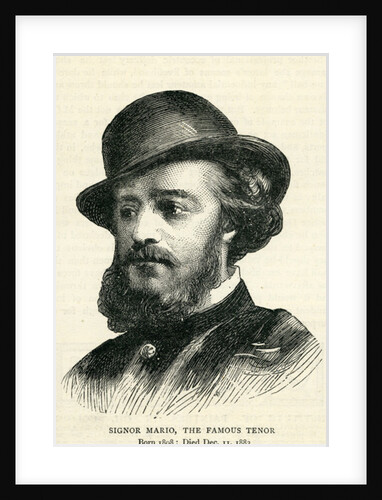 Signor Mario by English School