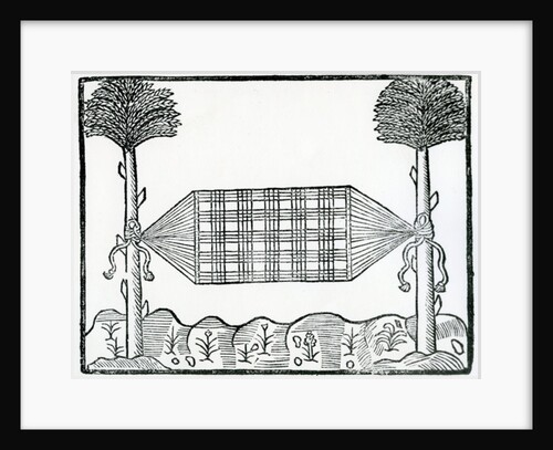 A Hammock from 'la Historia general de las Indias' 1547 by Christopher (after) Columbus