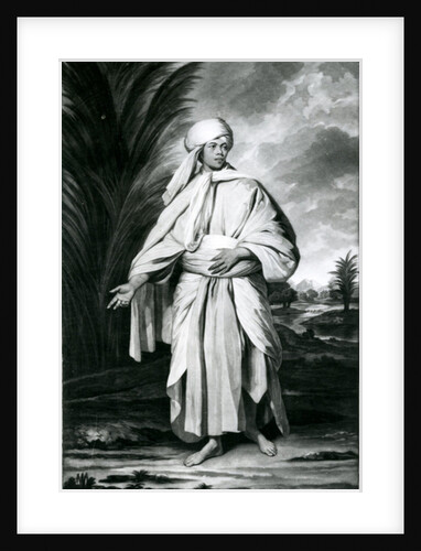 Omai by Joshua Reynolds