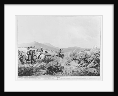 Hog Hunters Meeting, by Surprise, a Tigress and her Cubs by Samuel Howett