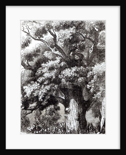 Charles II Hidden in the Oak Tree, 14th October 1651 by English School