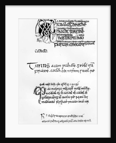 Specimens of Irish Manuscripts, c.1300-1588 by English School