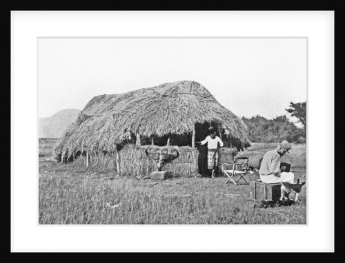 My house in camp on the Guaso Nyiro by Francis Arthur Dickinson