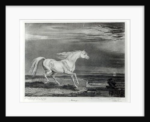 Marengo by James Ward