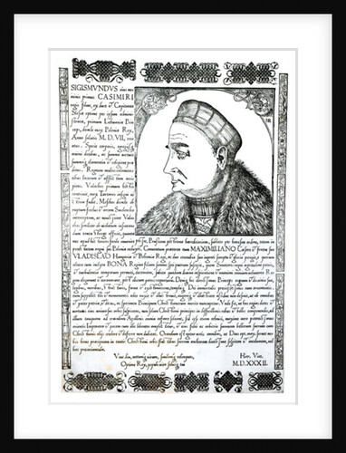 Sigismund I, 1532 by Anonymous