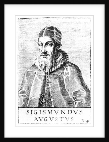 Sigismund II Augustus by Anonymous