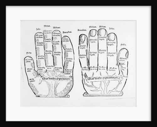 Palmistry by English School