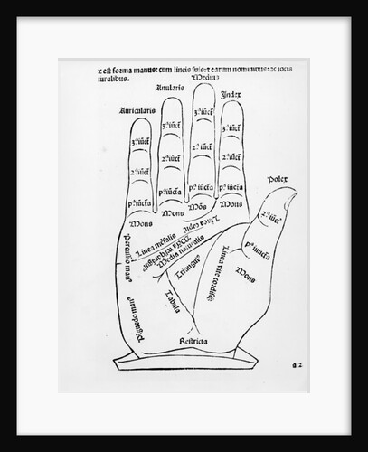 Palmistry by English School