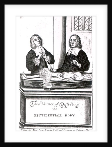 The Manner of Dissecting the Pestilential Body by English School