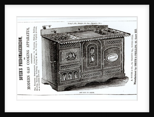Soyer's Phidomageireion or Modern Gas Cooking Apparatus by English School