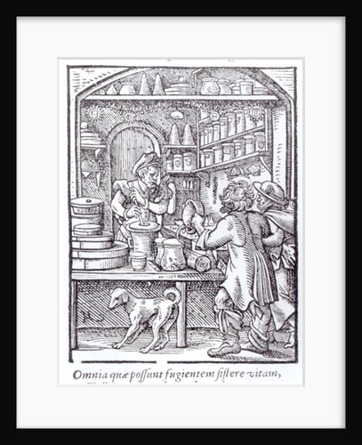 The Apothecary. by German School