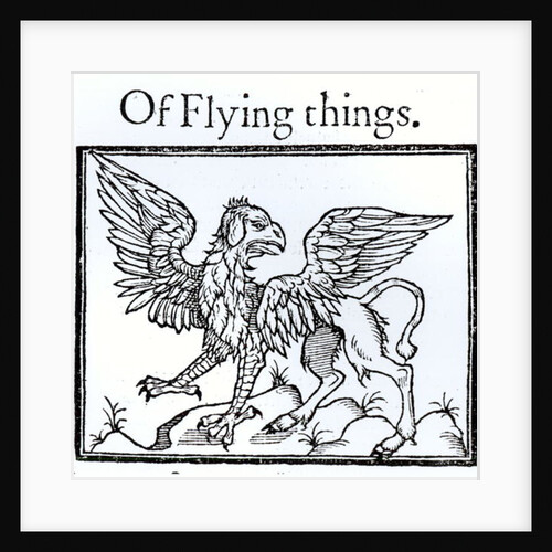 A Griffin by English School