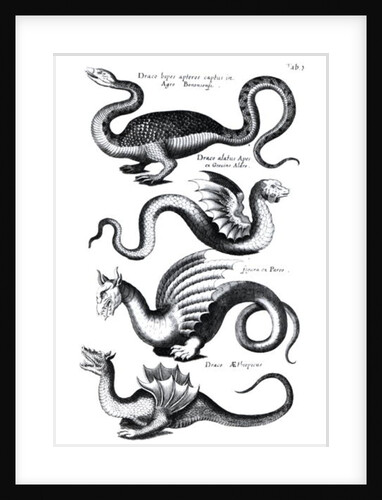 Four types of dragon by English School