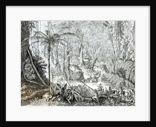 Interior of a Primeval Forest in the Amazons by English School