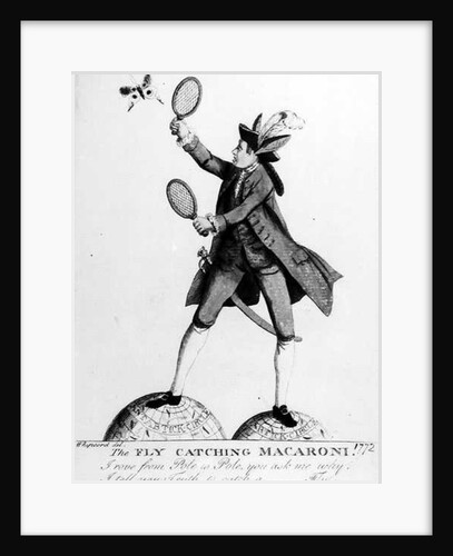 The Fly Catching Macaroni by English School